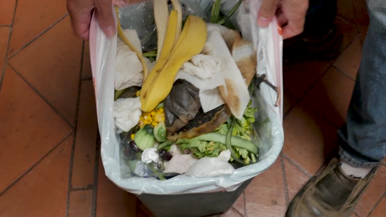 Best Dumpster Rental Services  in Chadbourn, NC
